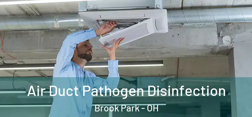 Air Duct Pathogen Disinfection Brook Park - OH