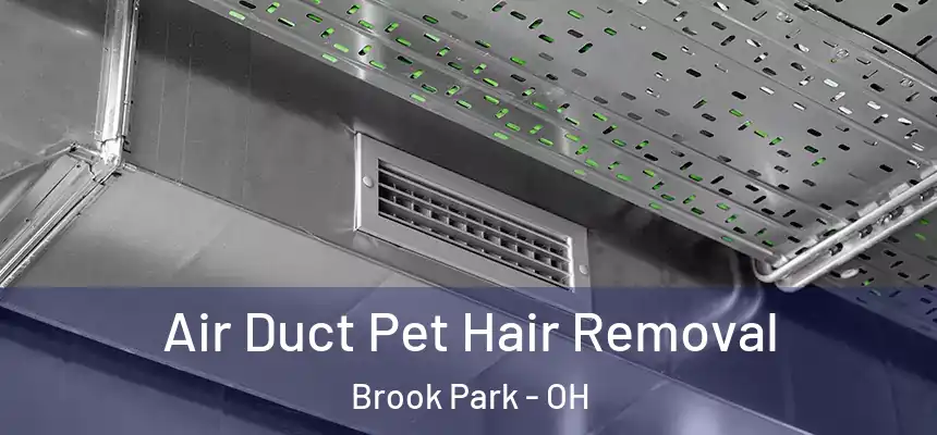  Air Duct Pet Hair Removal Brook Park - OH