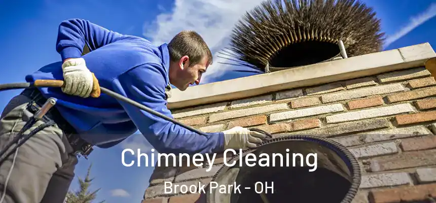  Chimney Cleaning Brook Park - OH