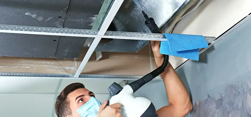 Our Air Duct Rodent Removal Services in Brook Park, OH