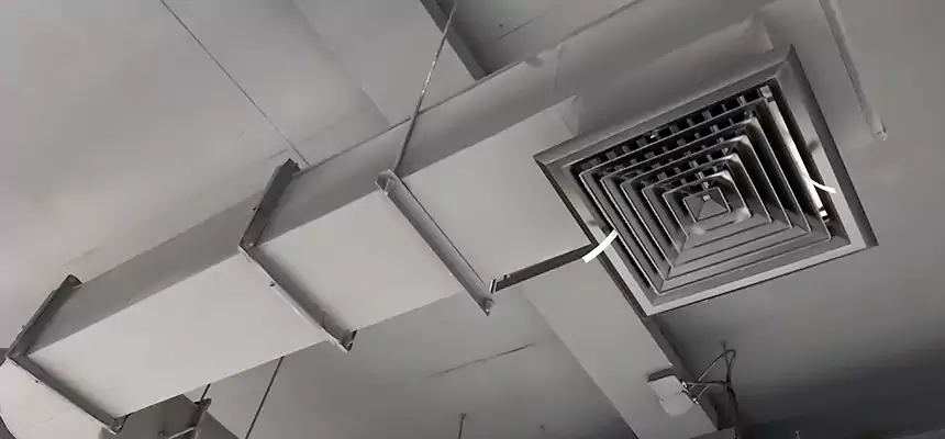 Our Pest Removal From Ducts Services in Brook Park, OH