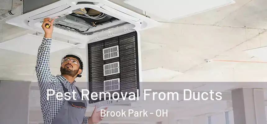  Pest Removal From Ducts Brook Park - OH