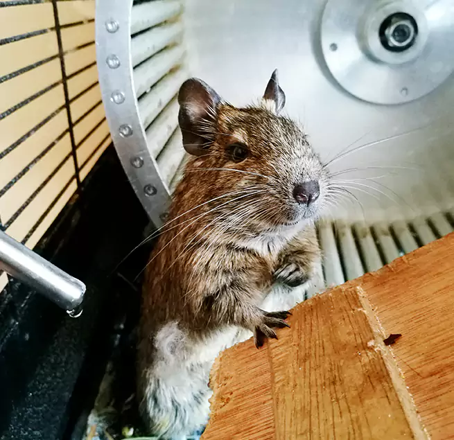 Why Homeowners & Businesses Trust Us Brook Park, OH